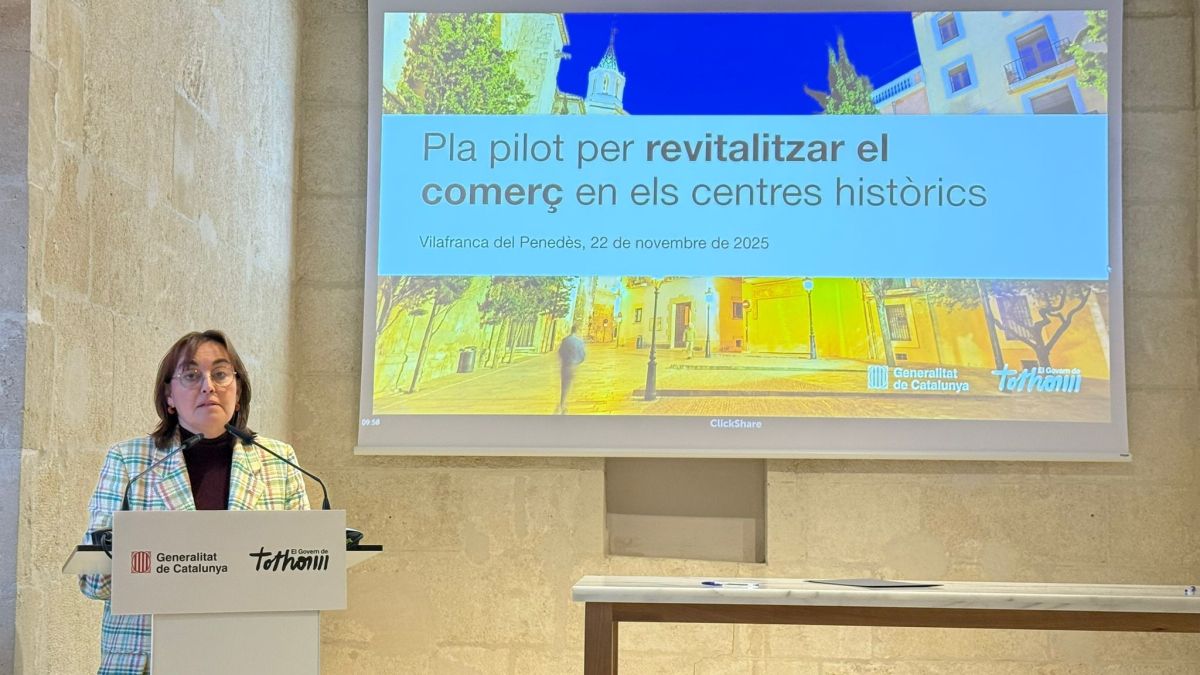 11 24 Pla reactivació comerç consellera