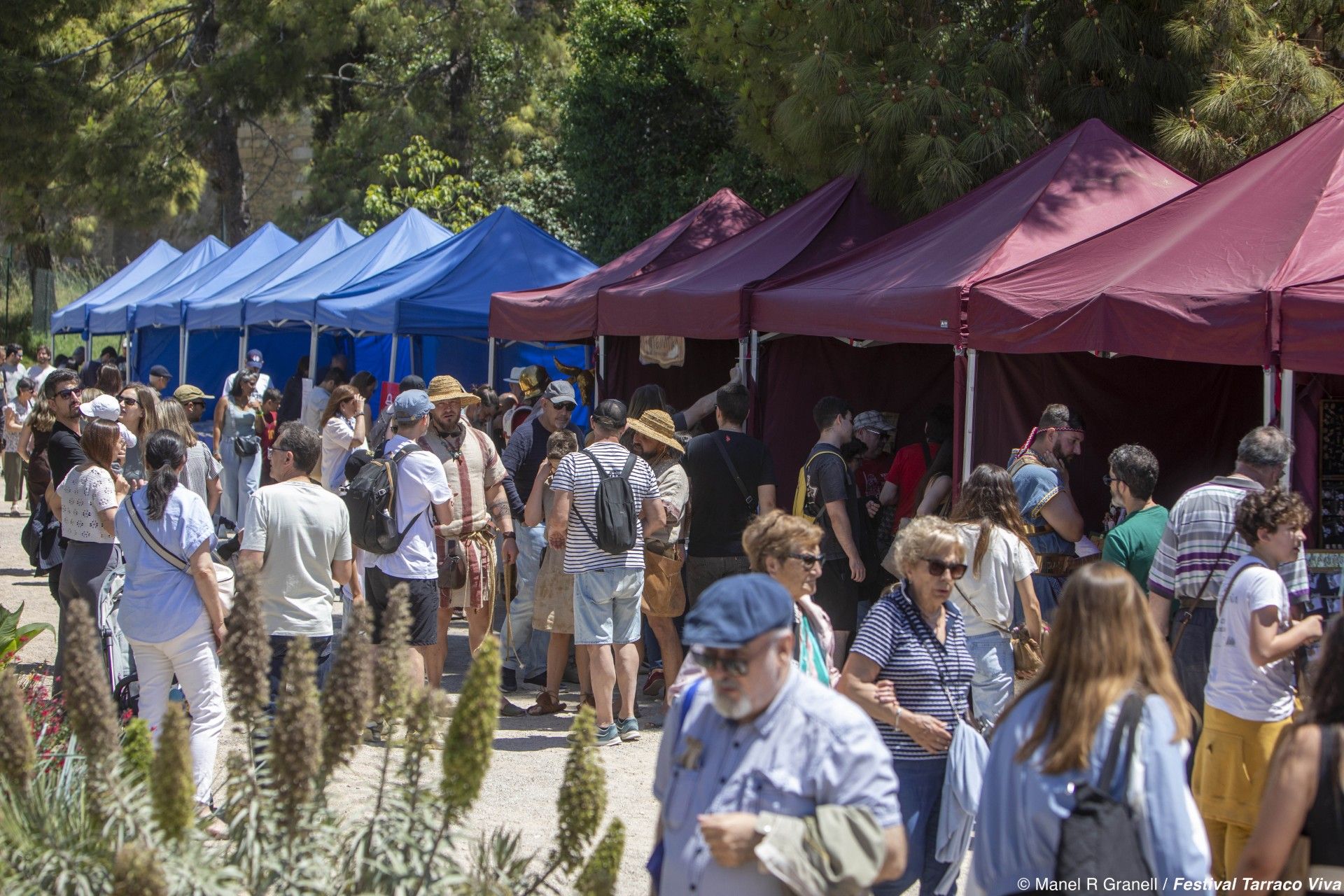 Tarragona celebra més de 30 activitats gratuïtes per celebrar Tàrraco Patrimoni Mundial | FOTO: Manel R Granell / Festival Tarraco Viva (Arxiu)