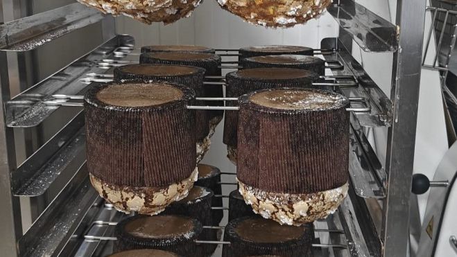 WhatsApp Image 2025 12 05 at 11.21.25