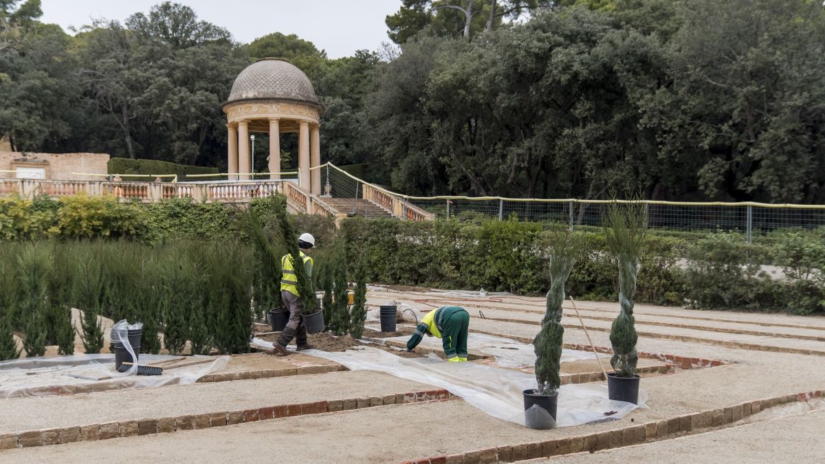 Barcelona inicia la plantació de 2.211 xiprers per restaurar el Laberint d’Horta