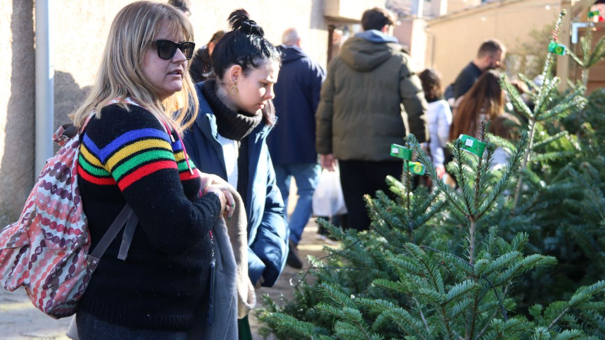 Dues dones buscant un avet a la Fira de l'Avet d'Espinelves.