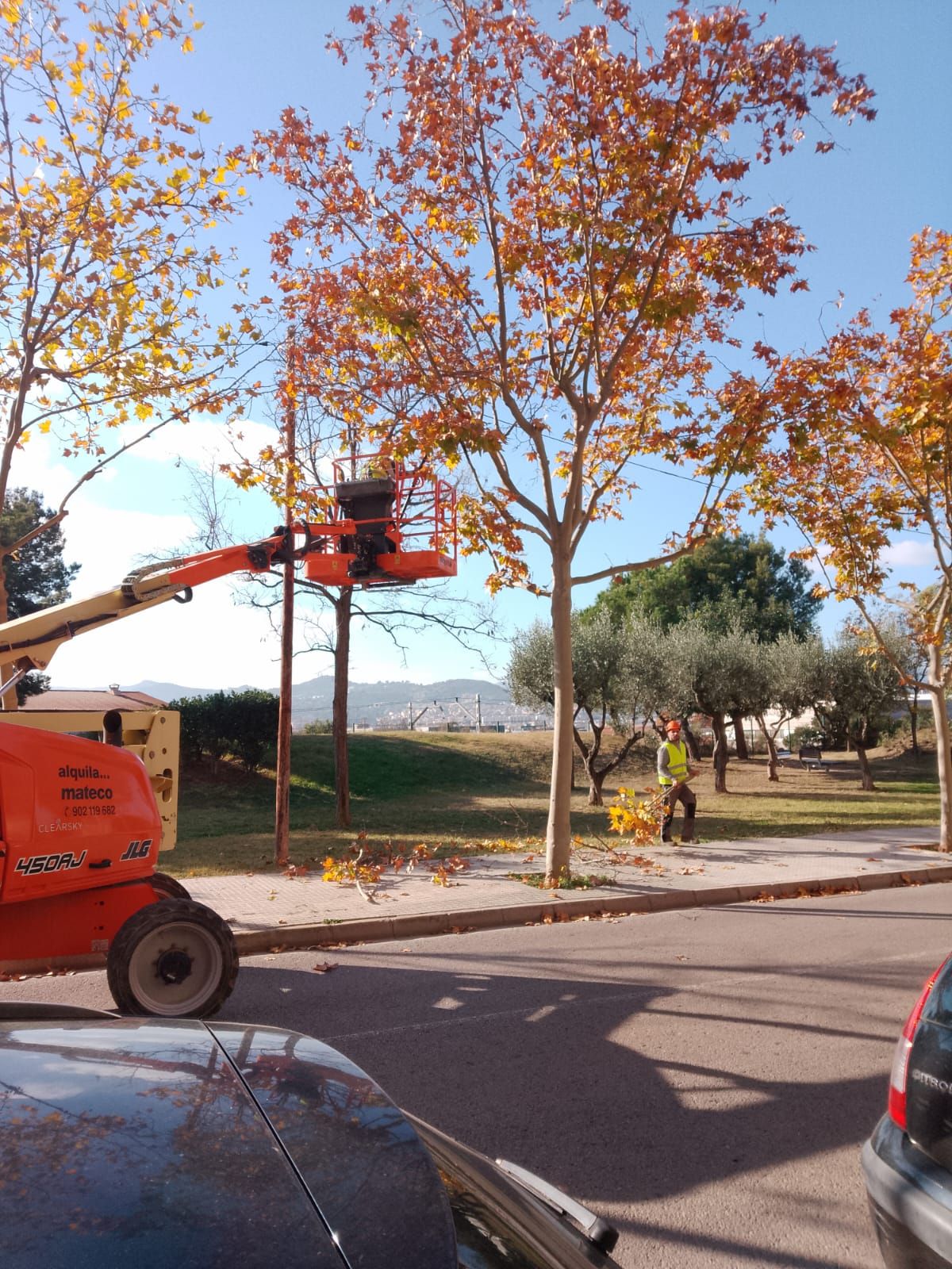 Inici de la campanya de poda de Molins de Rei 2