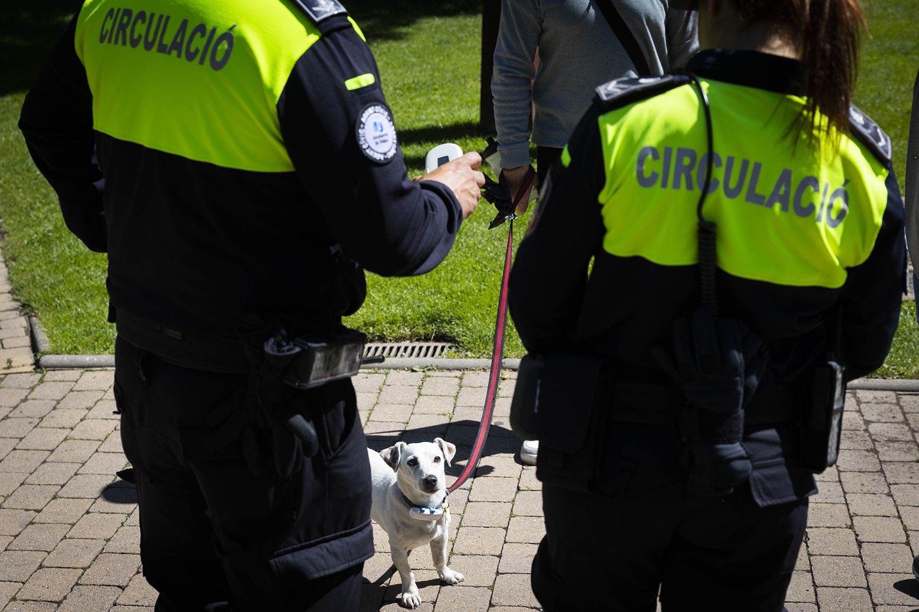Comú d'Andorra la Vella