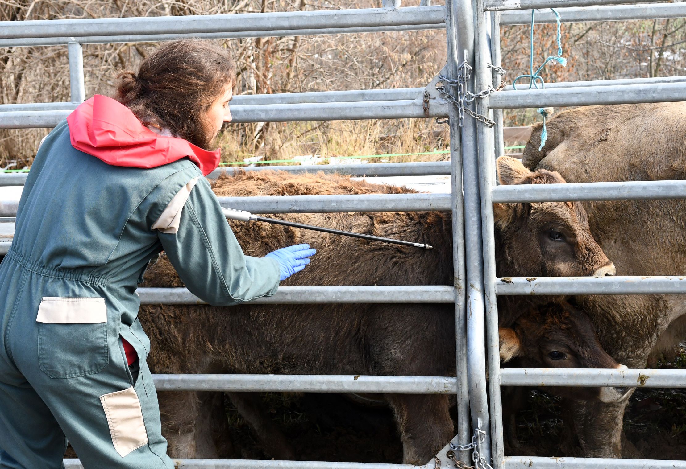 Foto: Govern d'Andorra Foto: Govern d'Andorra