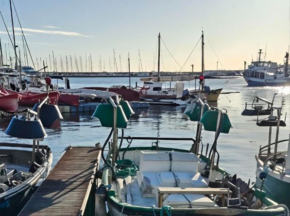 Foto de Rosa Mateu Foto de Rosa Mateu