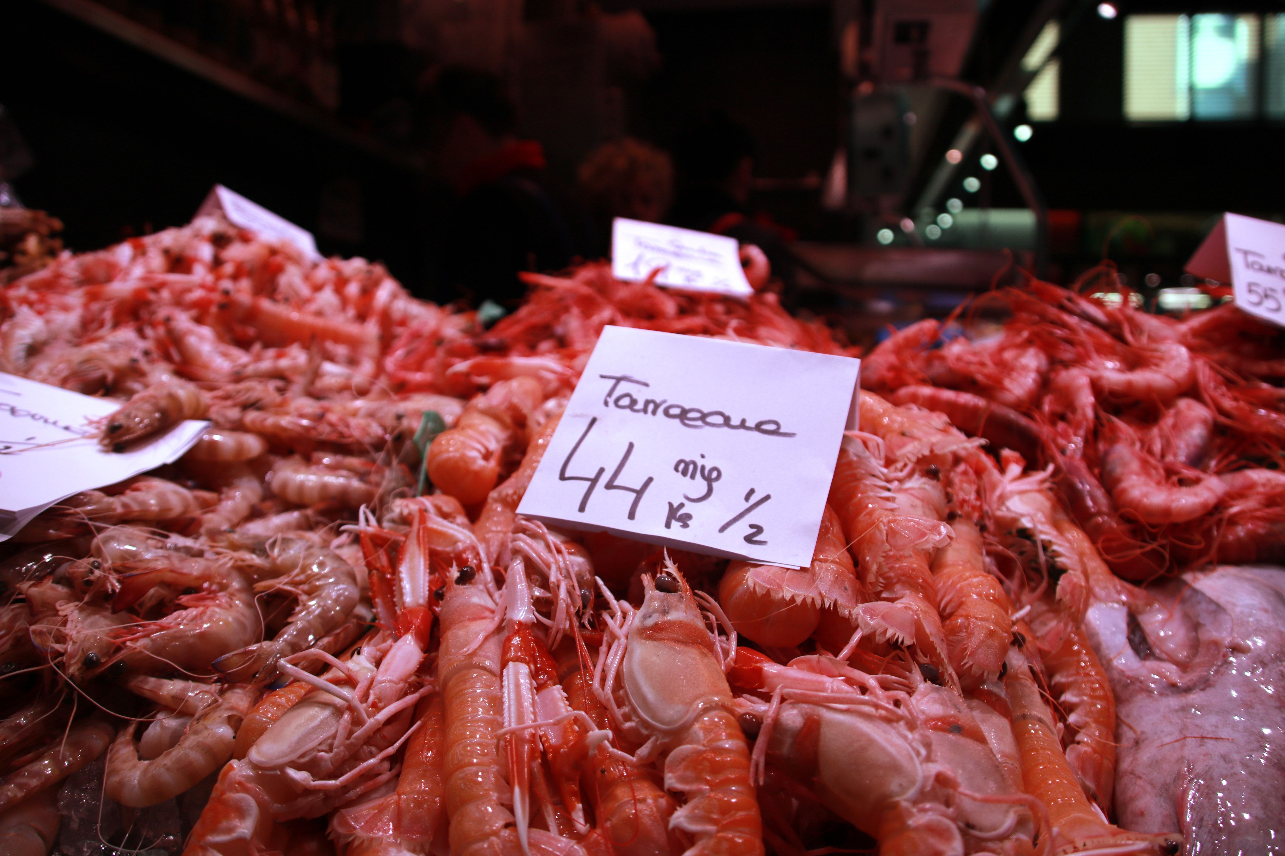 gamba vermella