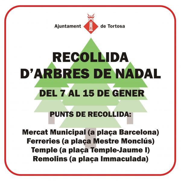 Recollida d'arbres de Nadal de Tortosa
