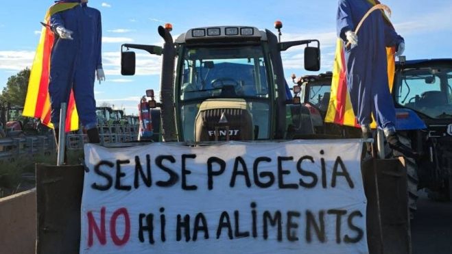 WhatsApp Image 2026 01 08 at 12.15.00