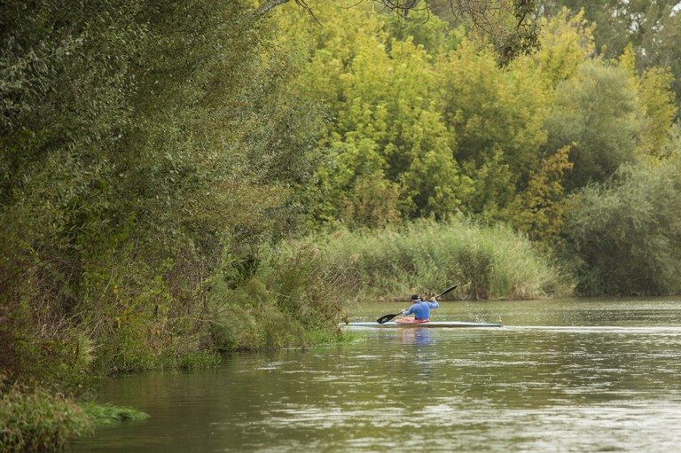 llac lleida piraigua