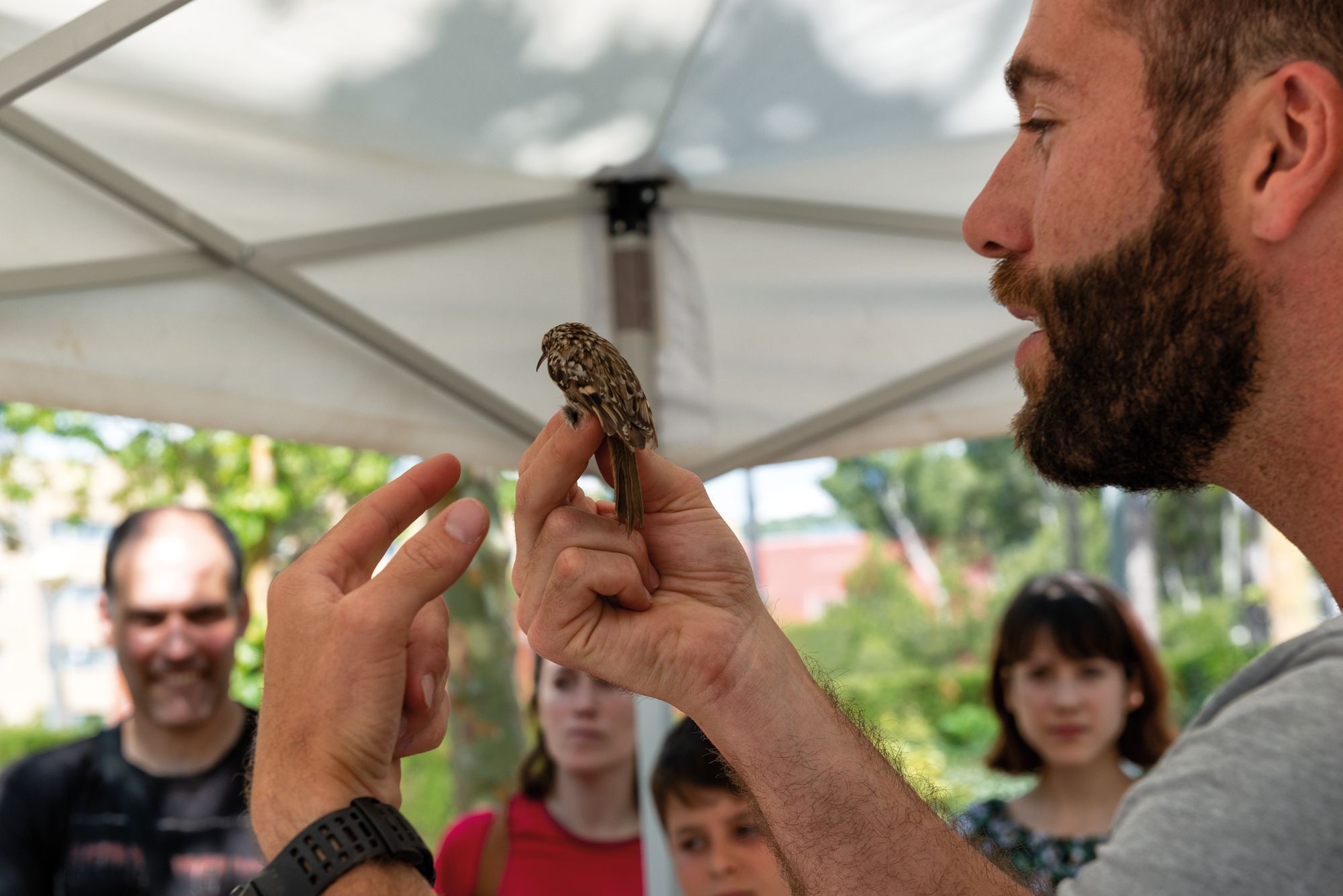 20è cicle d’activitats als parcs, platges i rius metropolitans, organitzat per l’AMB 2