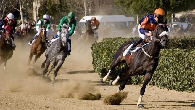 tradicional cos de Sant Antoni