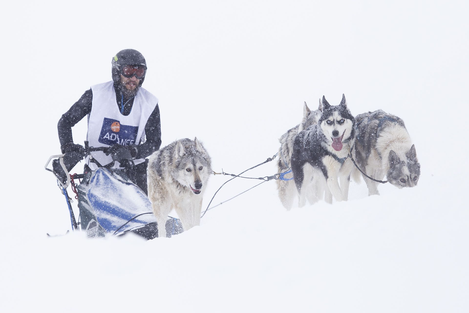 Modalitat Esports Accèssit (1)