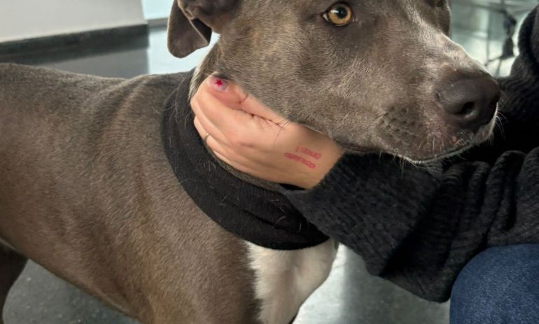 La Tina a l'hospital del Mar