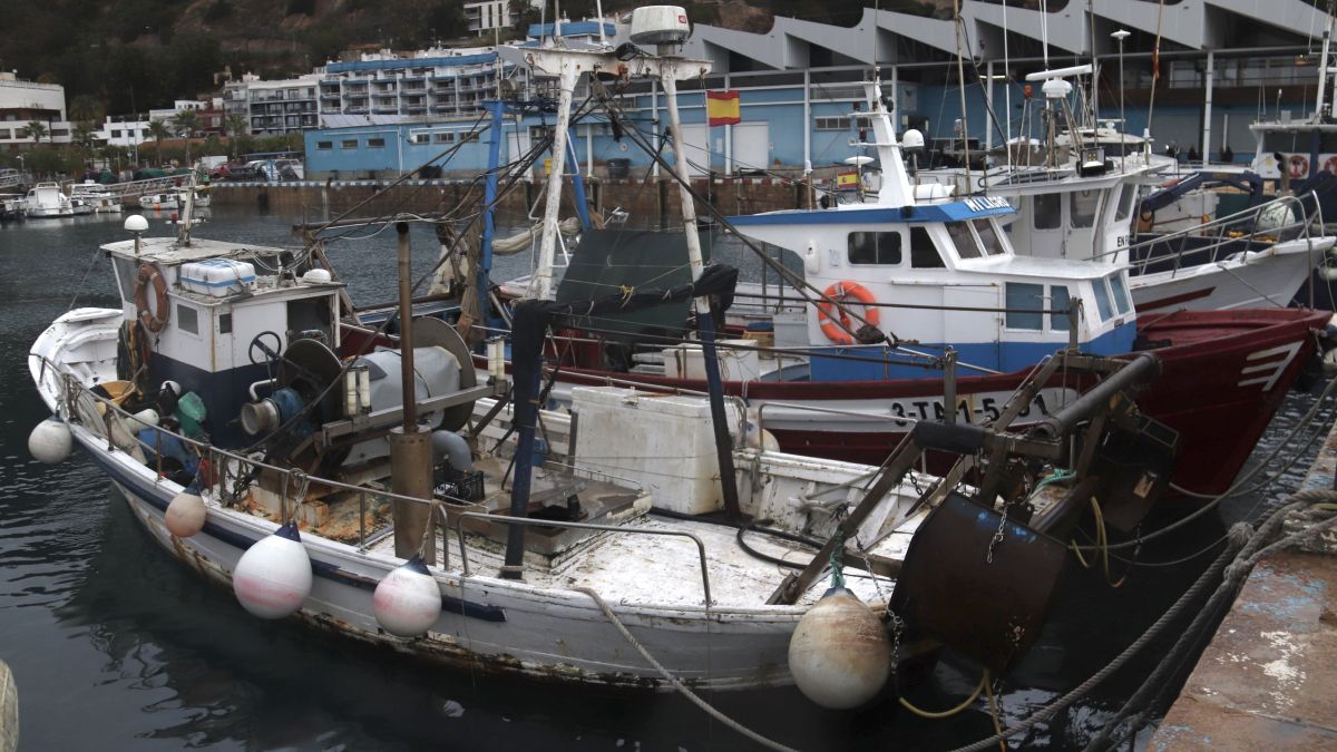 Una filera d'embarcacions de pesca amarrades al port de Blanes per la vaga