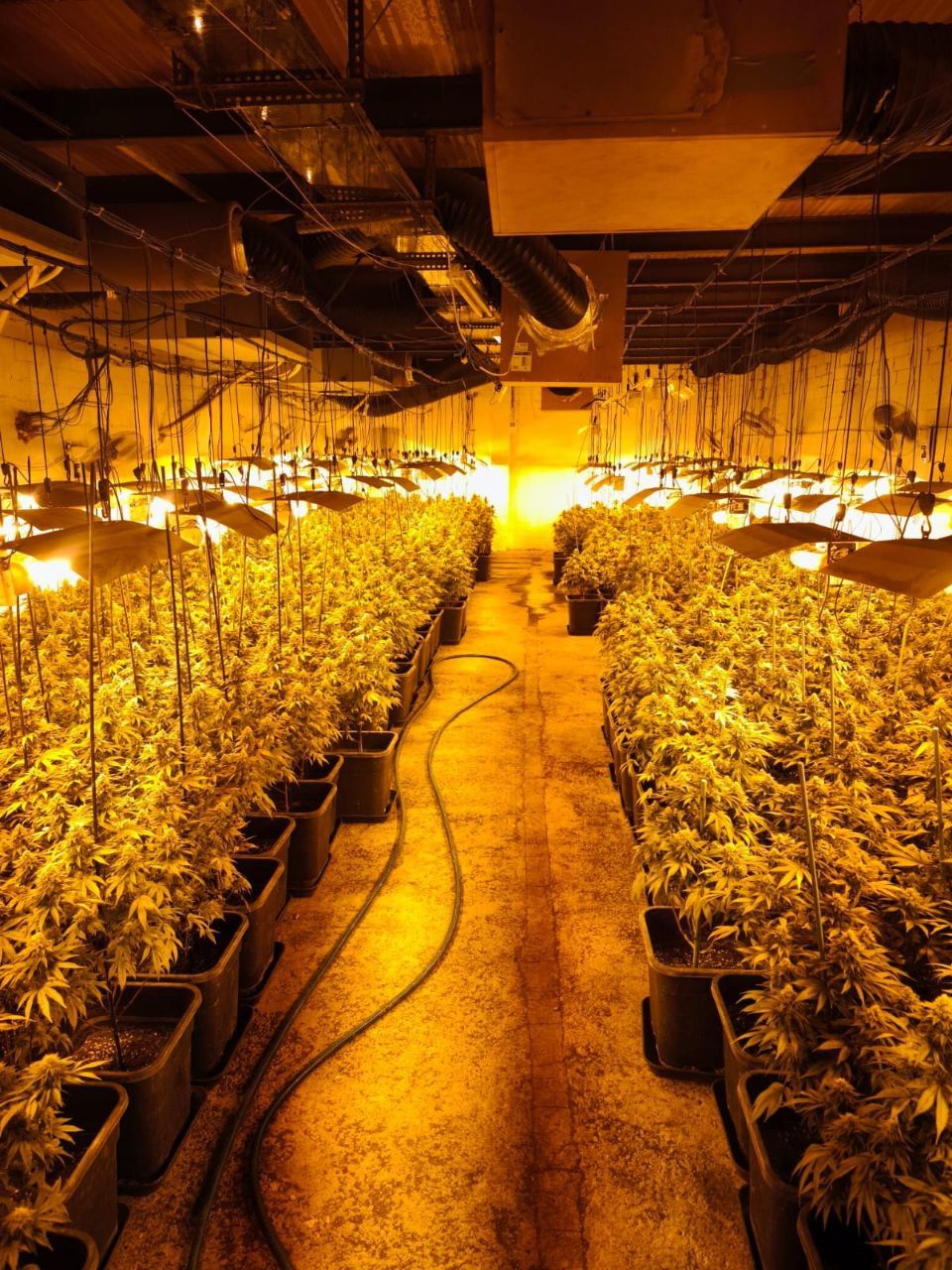 Els Mossos desarticulen una organització criminal vinculada a robatoris amb força al Catllar 02