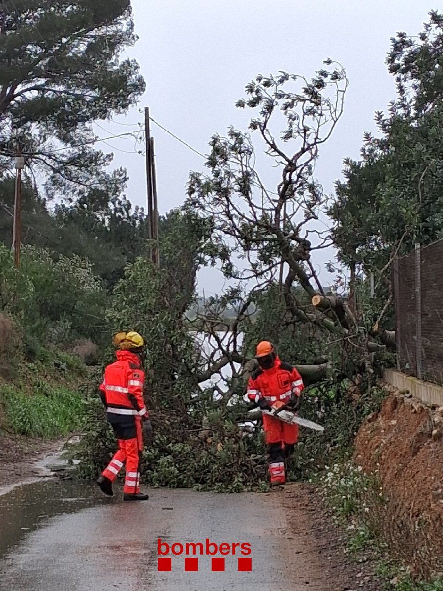 El vent tomba un arbre en un camí de Cambrils