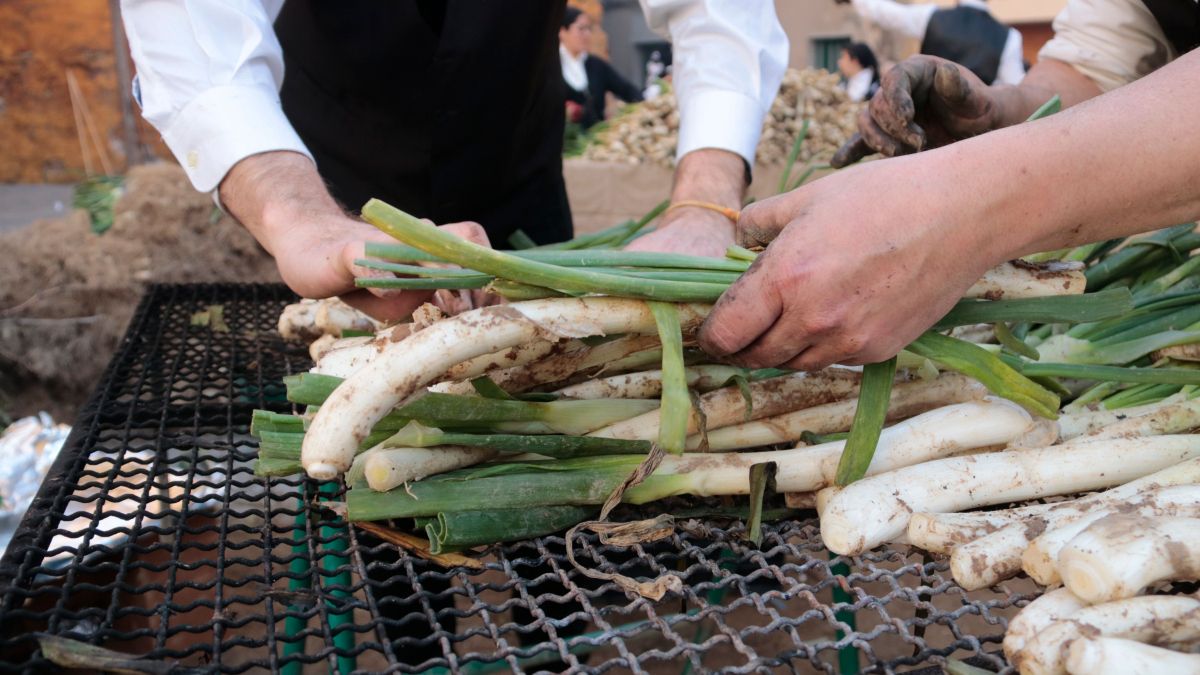 Detall d'un manat de calçots a punt de ser cuits a la Gran Festa de la Calçotada de Valls