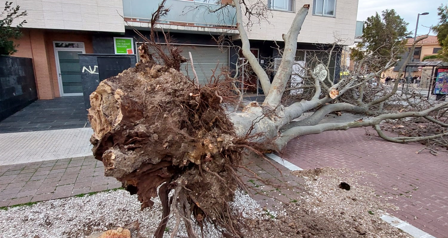 Foto: Ajuntament de Valls