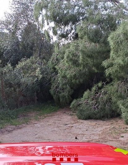 Camí de la Romiguera, Alcover (Baix Camp)