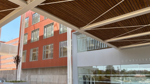 Captura de pantalla (372)