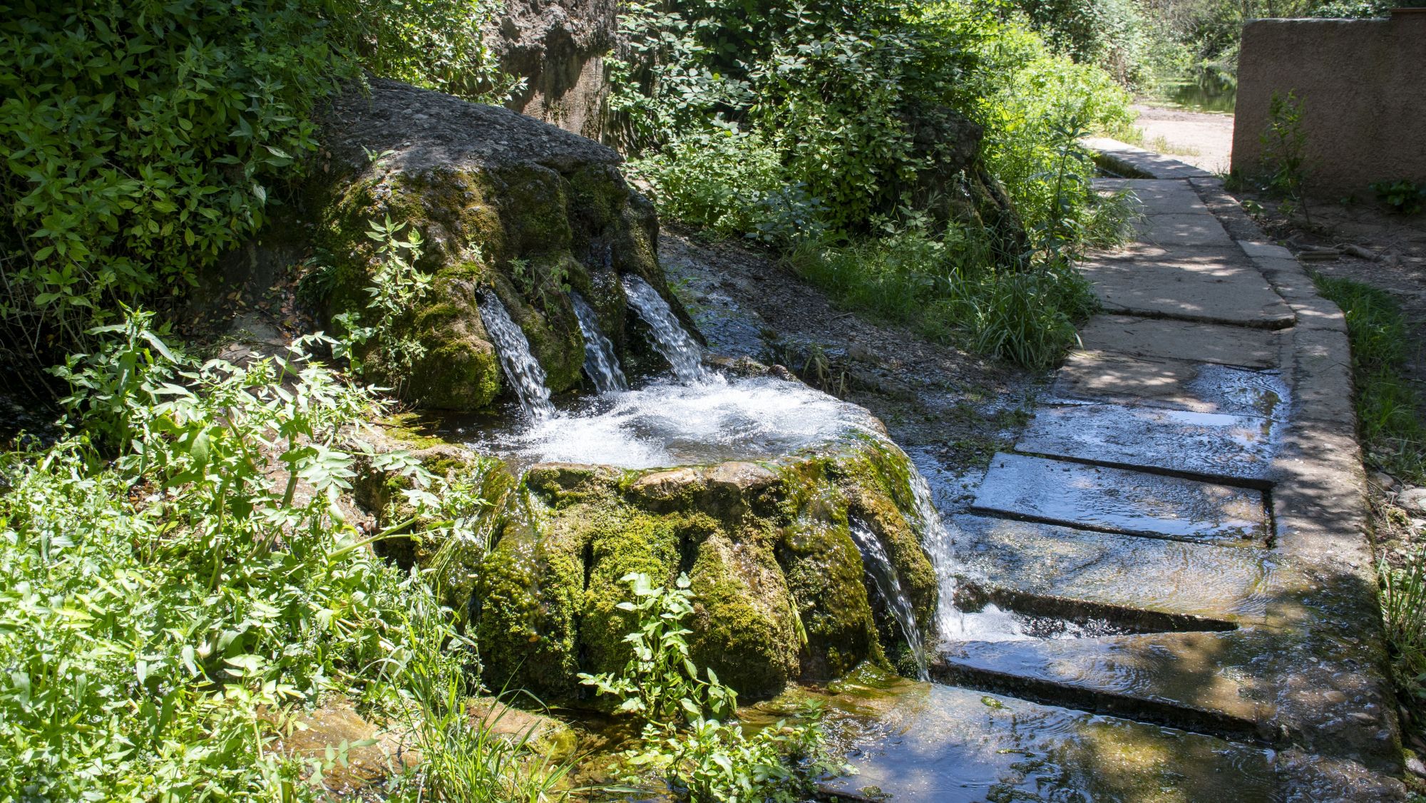 Les fonts de Rellinars