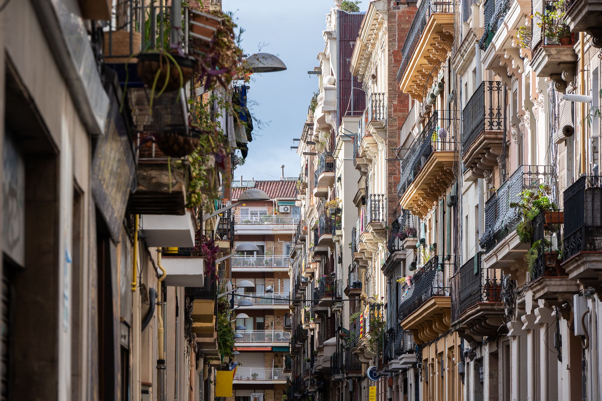 Fotografia: Lourdes Tasies Cano