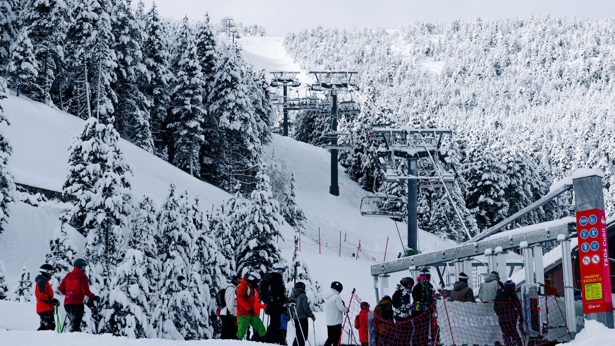 PAL ARINSAL 04.02.26 (1) (1)