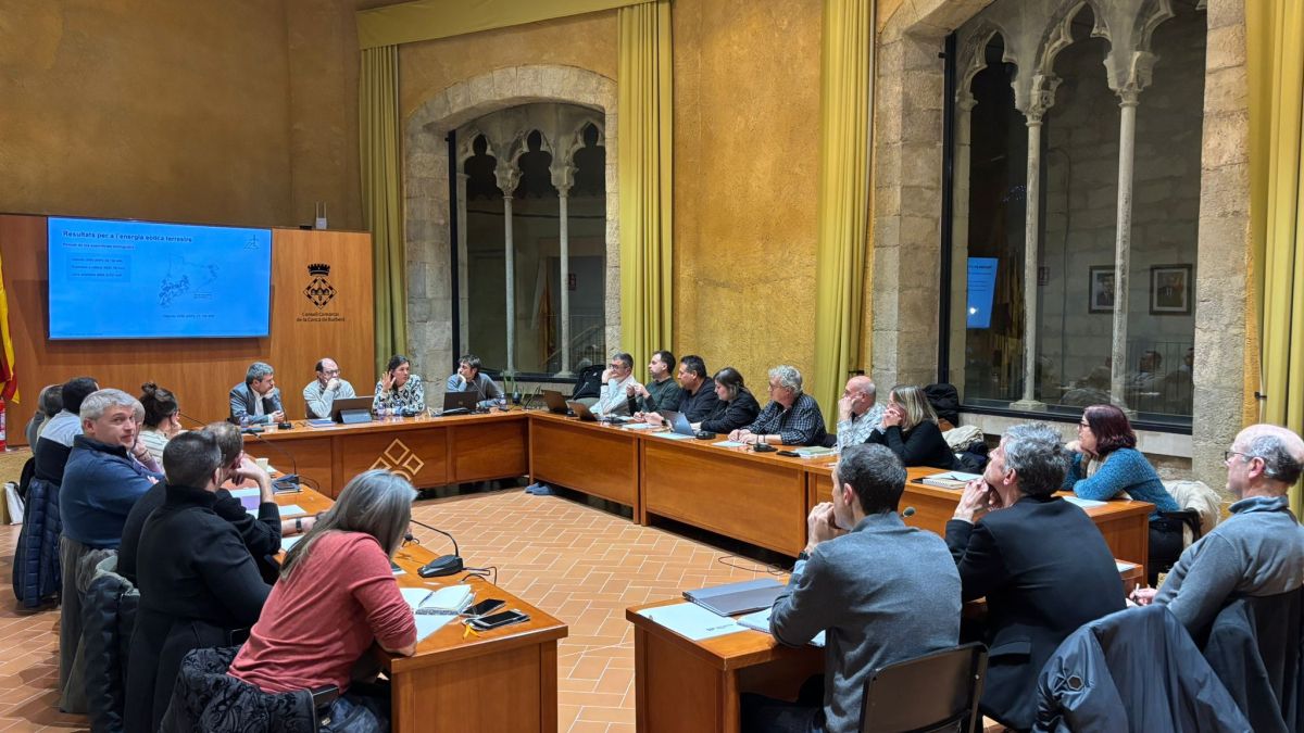 Suport unànime del Consell d'Alcaldesses i Alcaldes de la Conca de Barberà als 200 treballadors acomiadats per International Paper