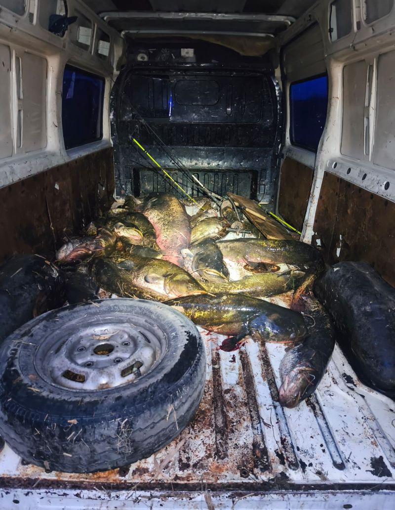 98e009df cb29 4e66 bff1 240107adf952