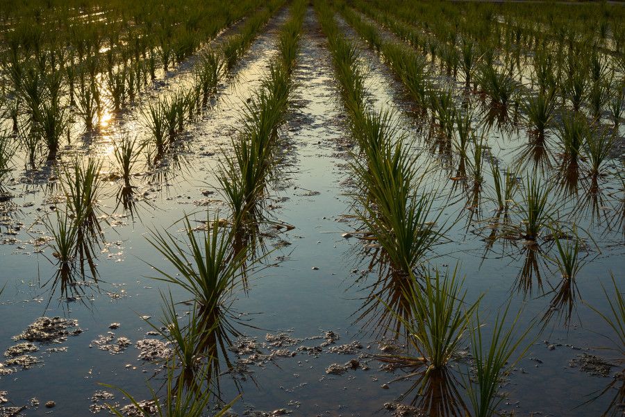 Foto: Rafael de Luis.