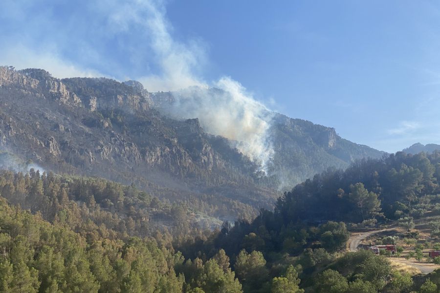 Incendi a Paüls que va afectar al Parc Natural dels Ports / Foto: V. Resco (UdL).