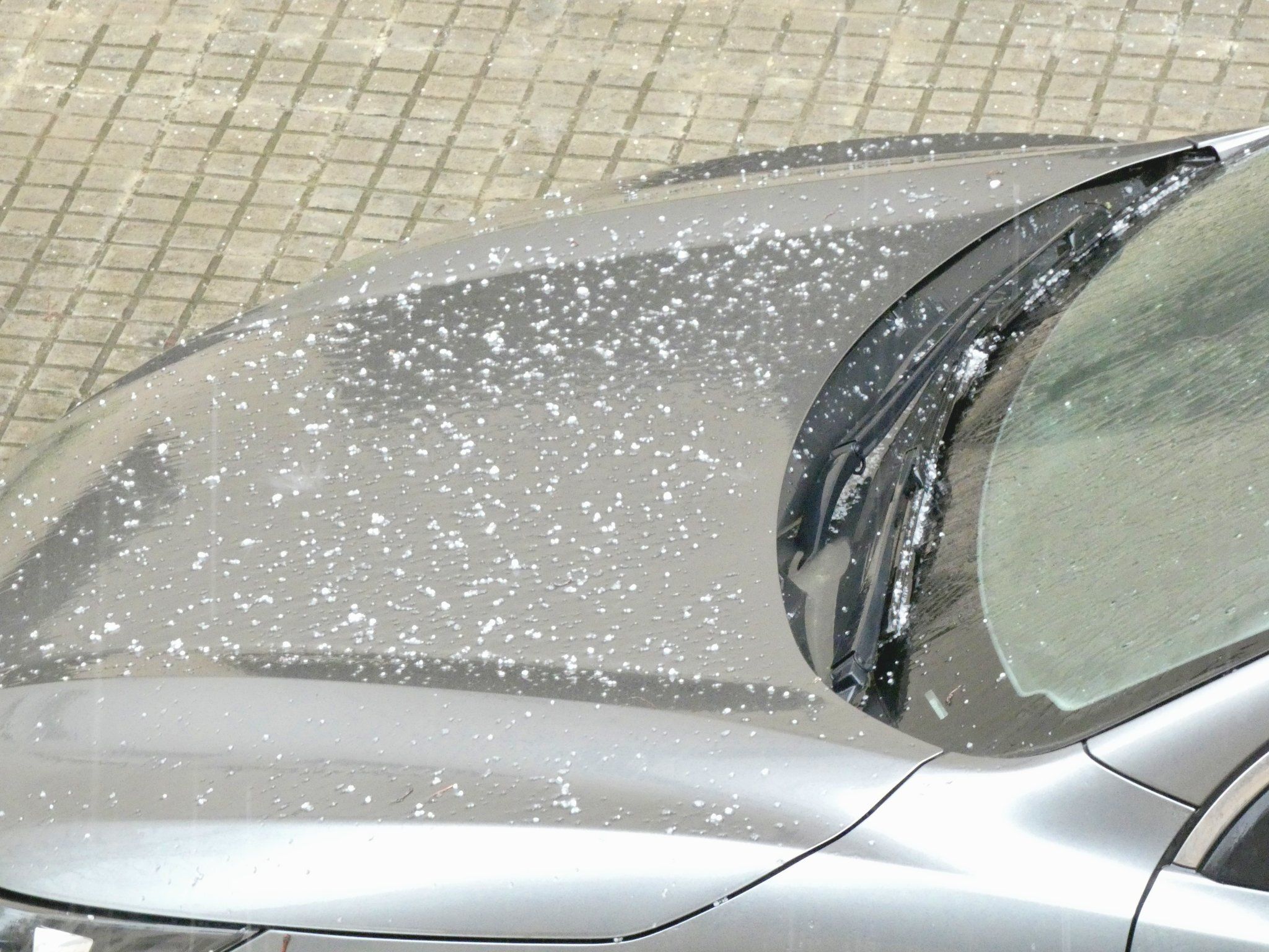 Foto de @RomanCP2026