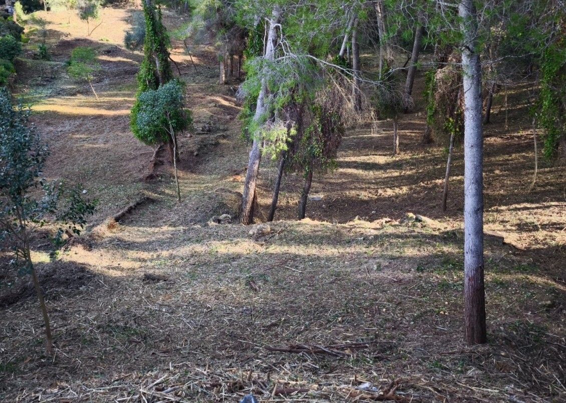 Franges incendi forestal Tarragona 1