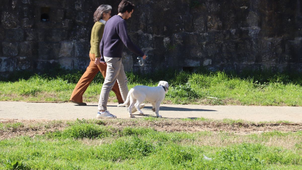 Dues persones passegen un gos a la llera del riu Onyar de Girona