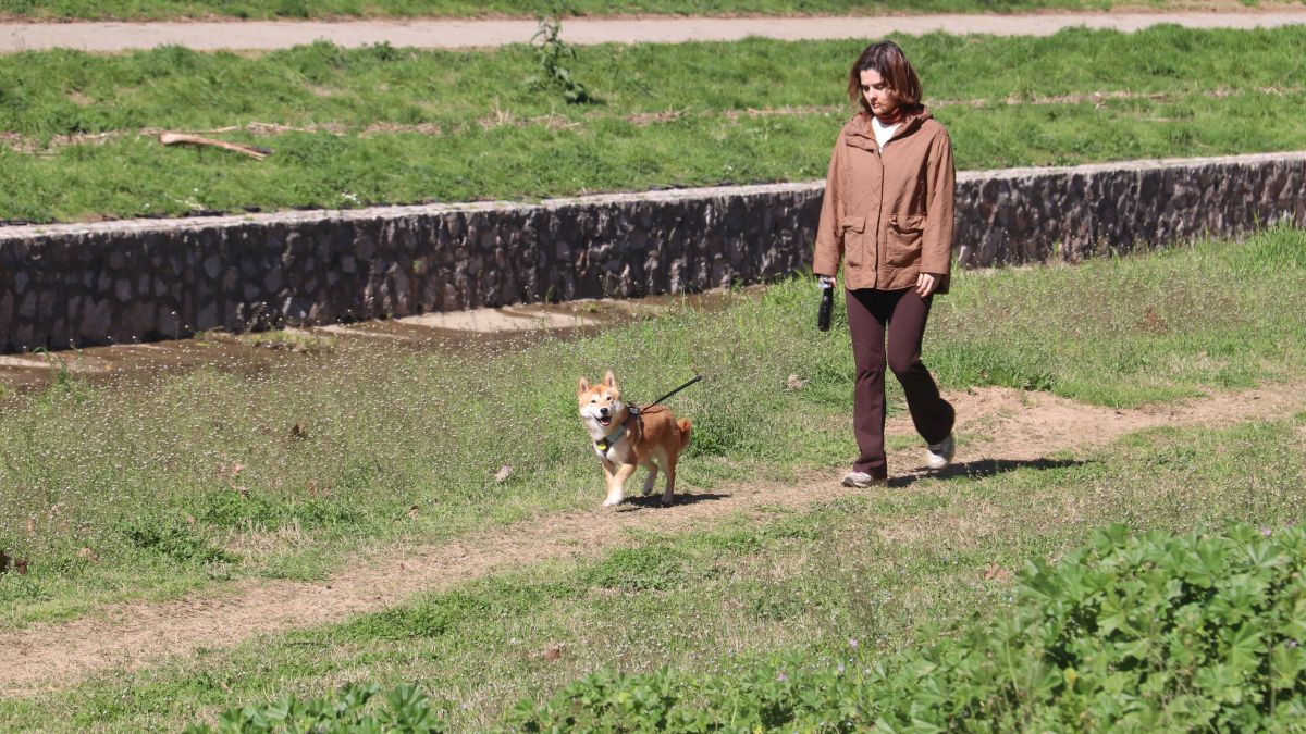 Una dona passeja un gos a la llera del riu Onyar de Girona