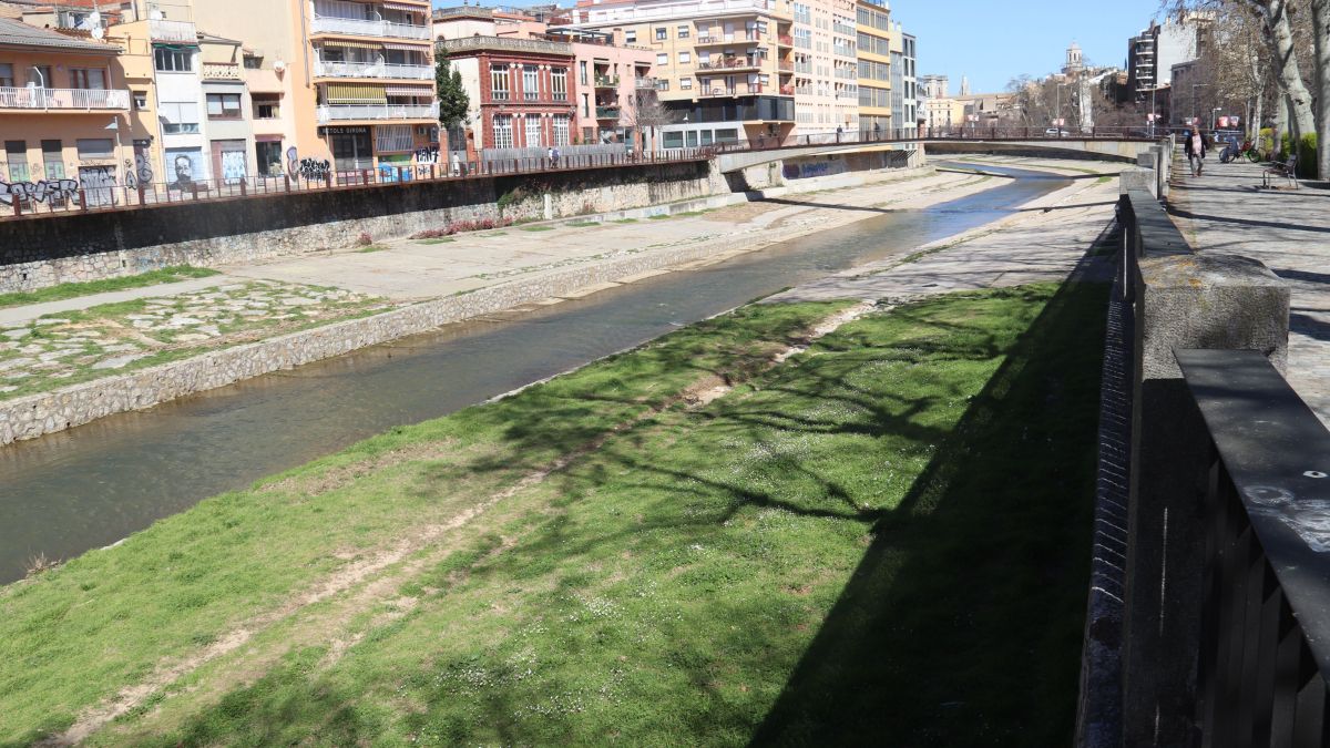 La llera del riu Onyar de Girona on uns veïns de Vista Alegre asseguren que s'han enverinat dos gossos