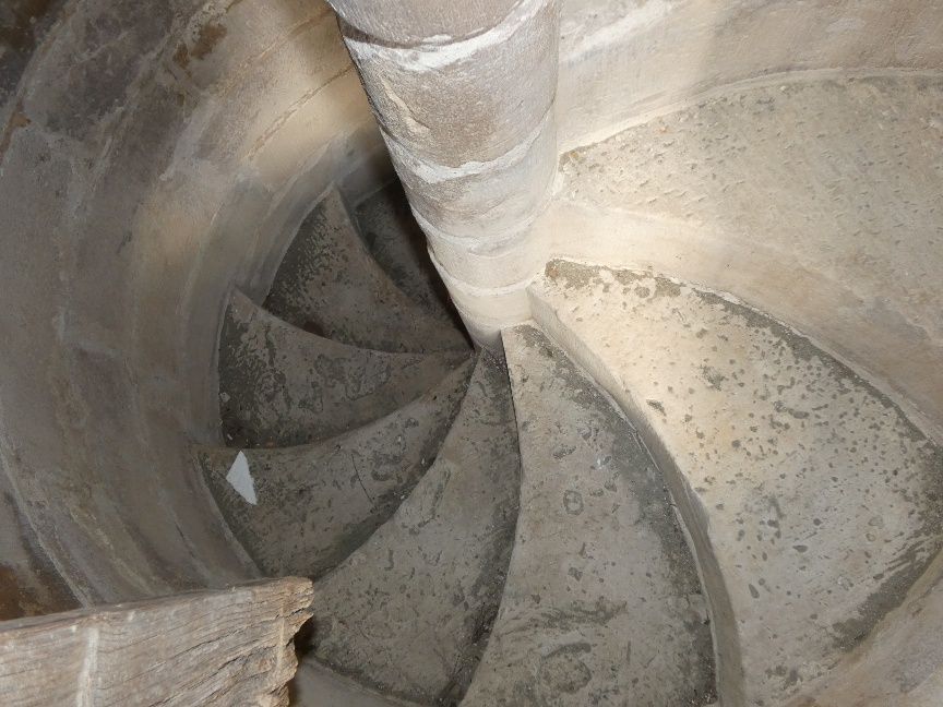 Visita d’obres a la segona fase de la restauració de la coberta de la Catedral de Tortosa 2