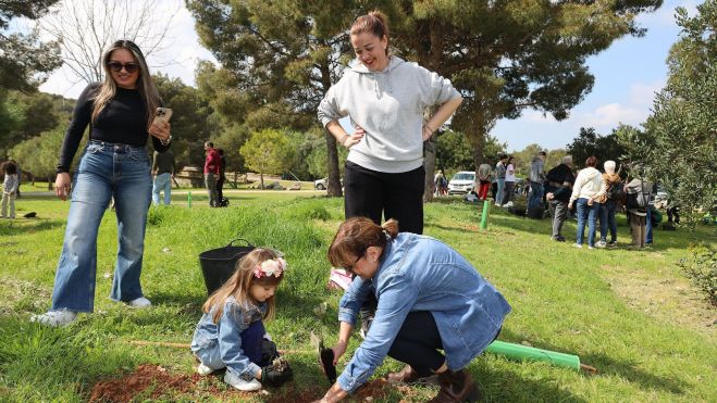 Plantada arbres 2026 