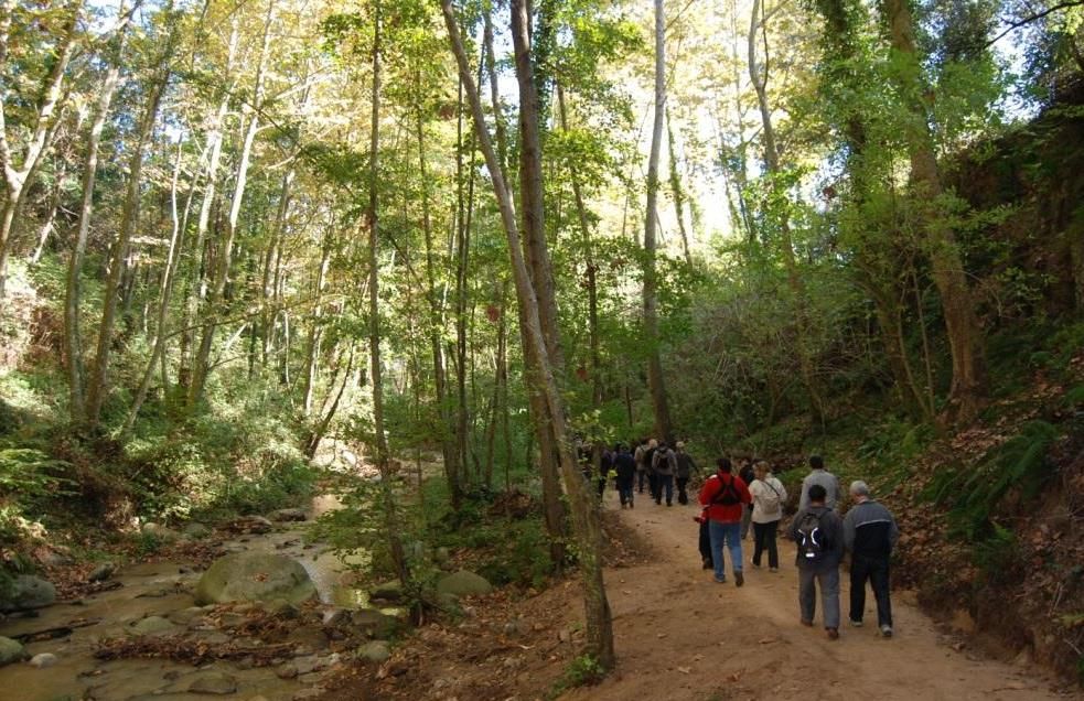 Una de les passejades a través dels boscos del Montseny