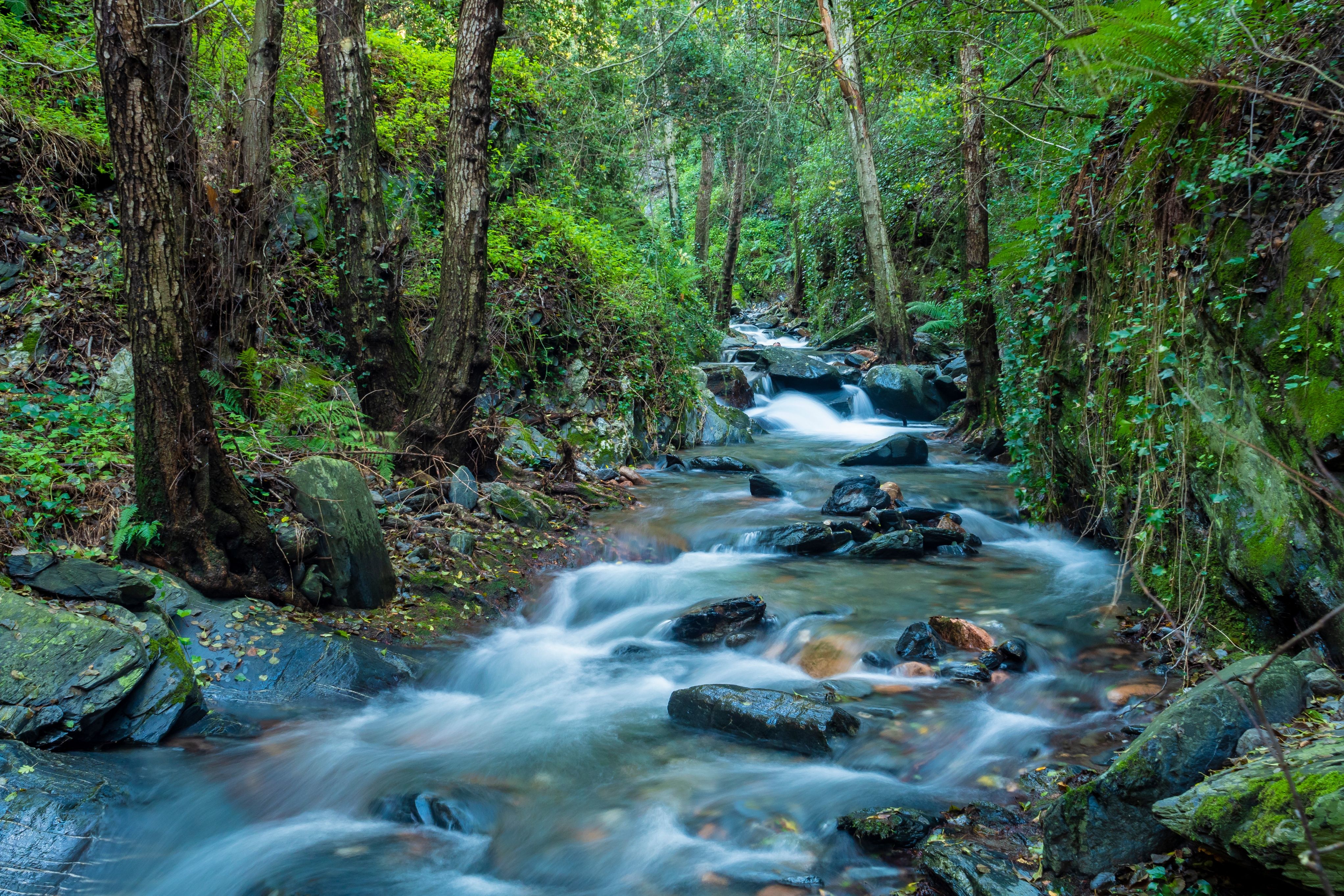Paisaje del Parque Natural y Reserva de la Biosfera del Montseny | FOTO: Iñaki Relanzon