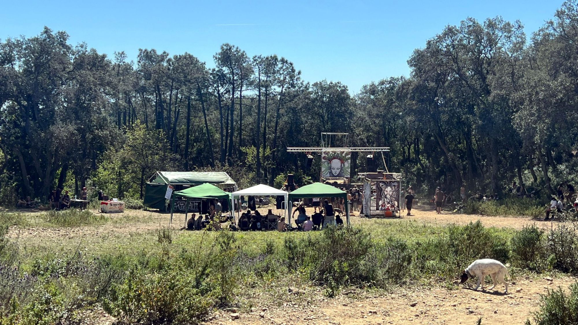La rave il·legal se celebra en una finca a tocar del Mas Alenyà, al massís de les Gavarres, al Baix Empordà.
