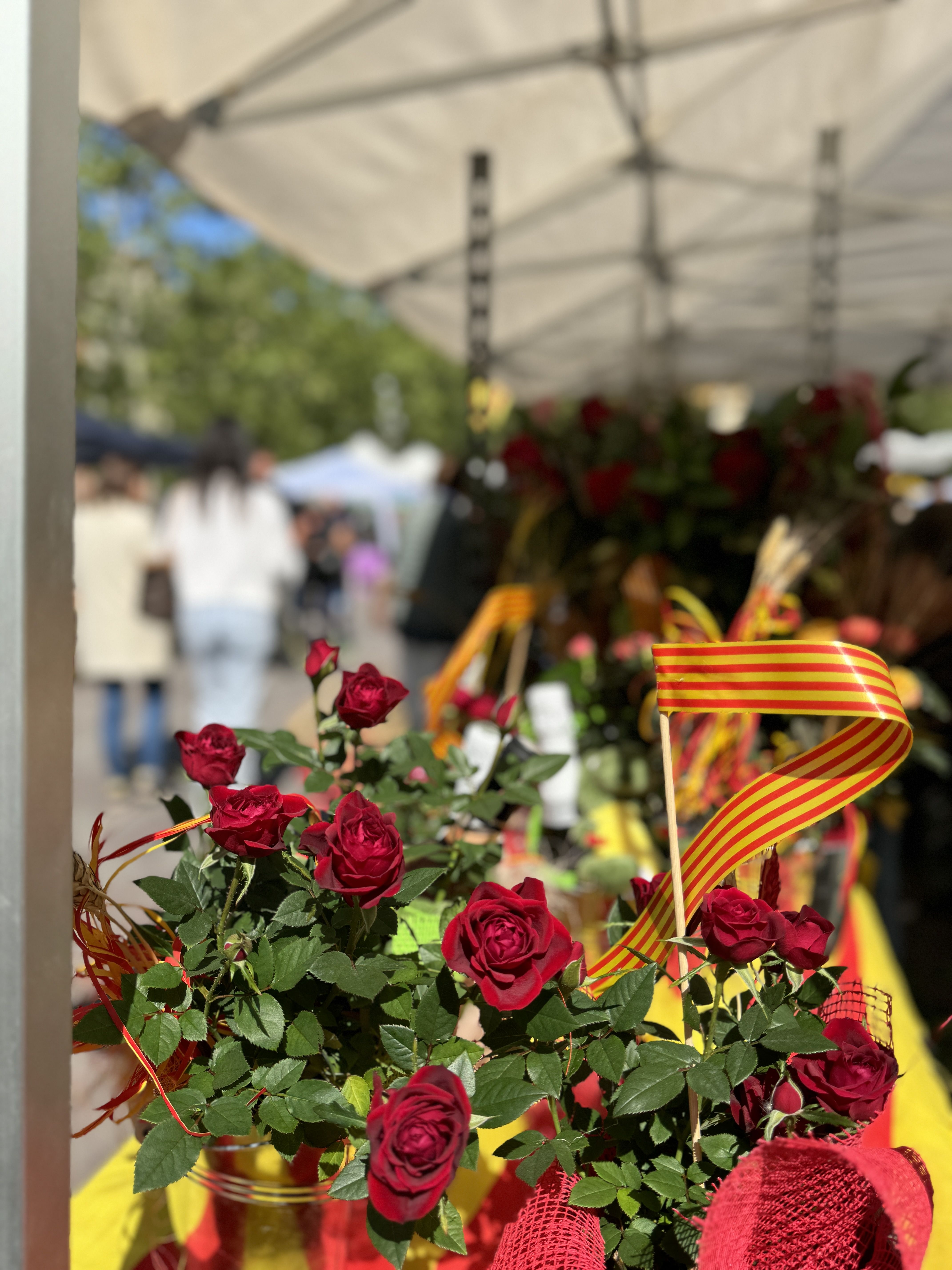 Roses de Sant Jordi a Vilafranca del Penedès