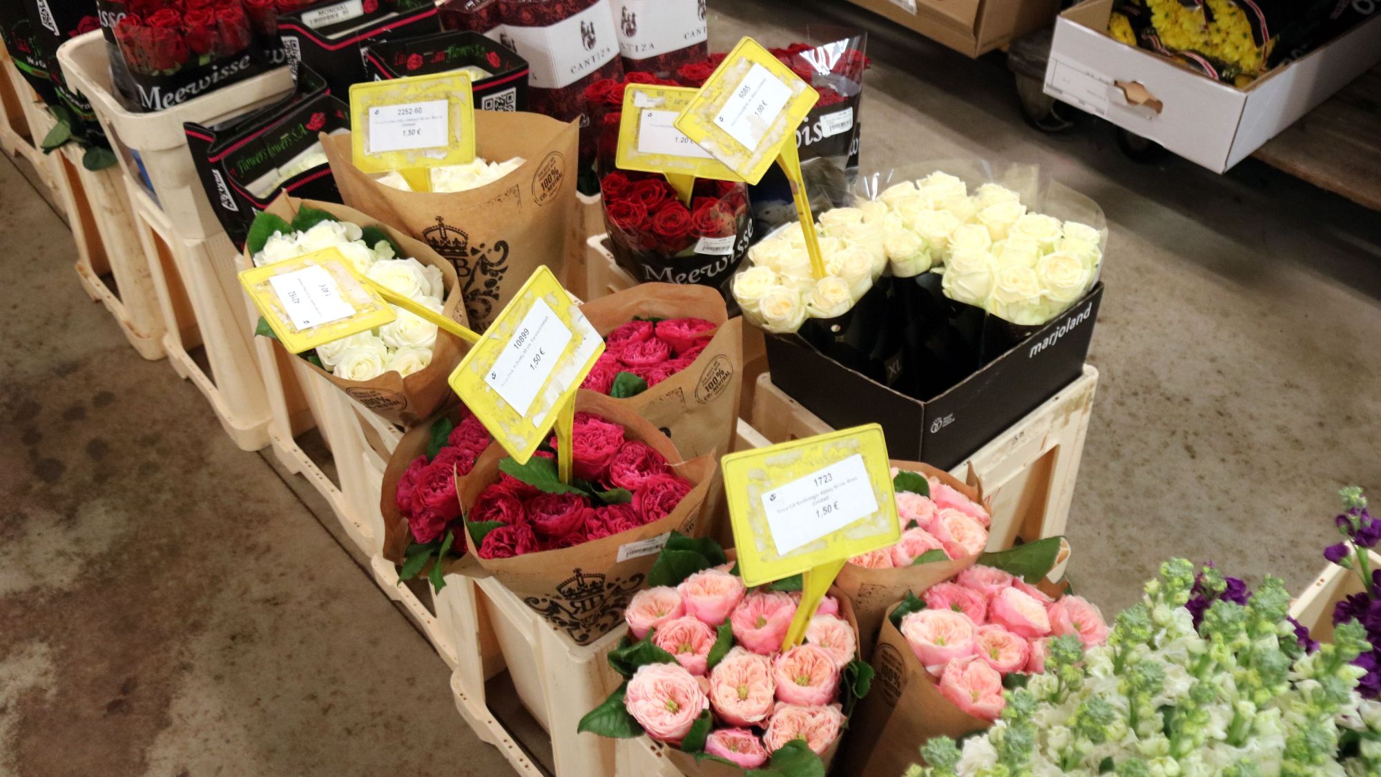 Roses de colors en una parada de Mercabarna flor