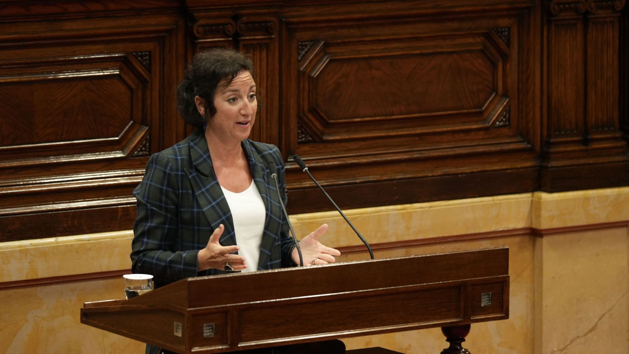 La consellera d'Economia i Finances, Alícia Romero, al Parlament