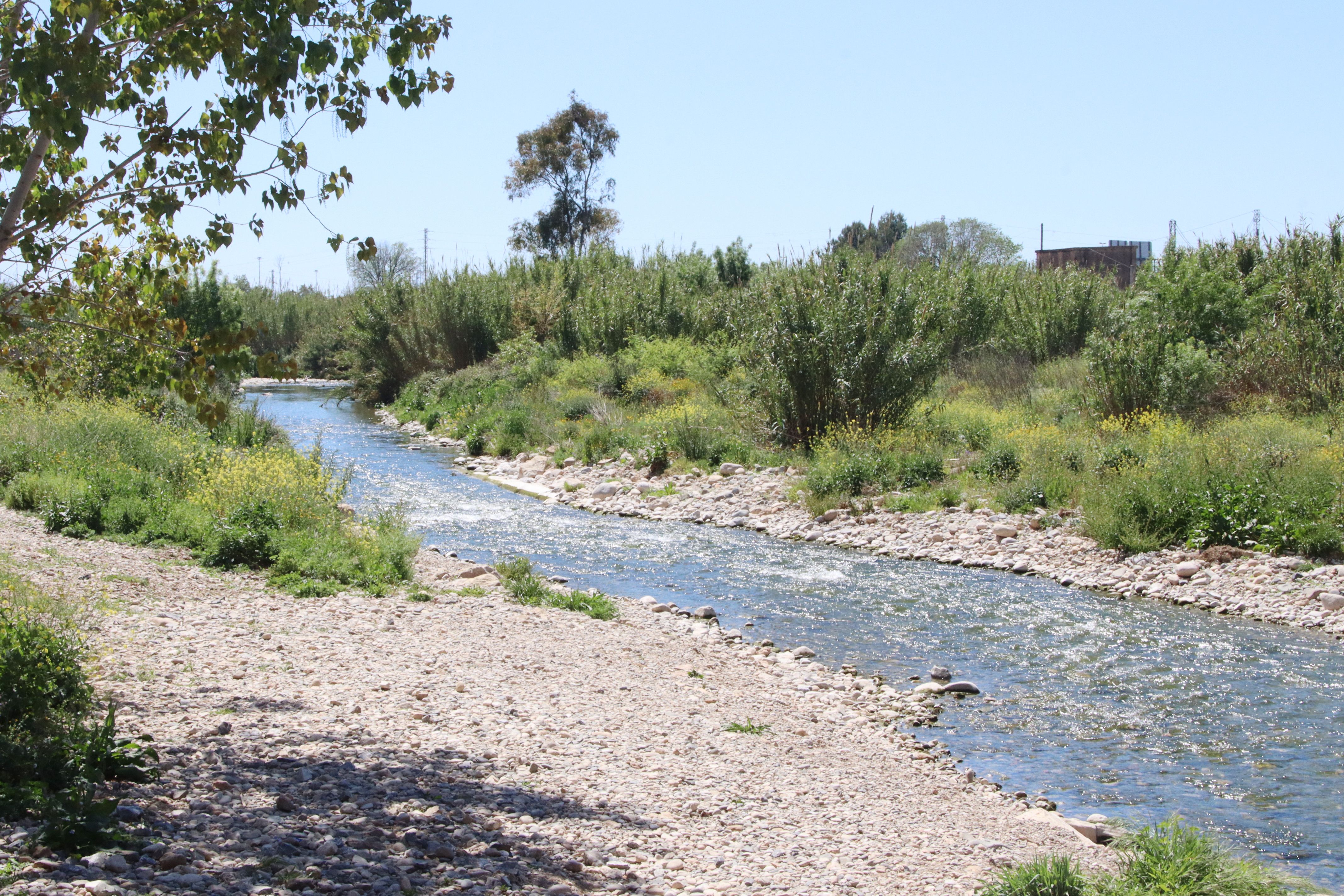 Tarragona-GreenBelt'26 - Eloi Tost