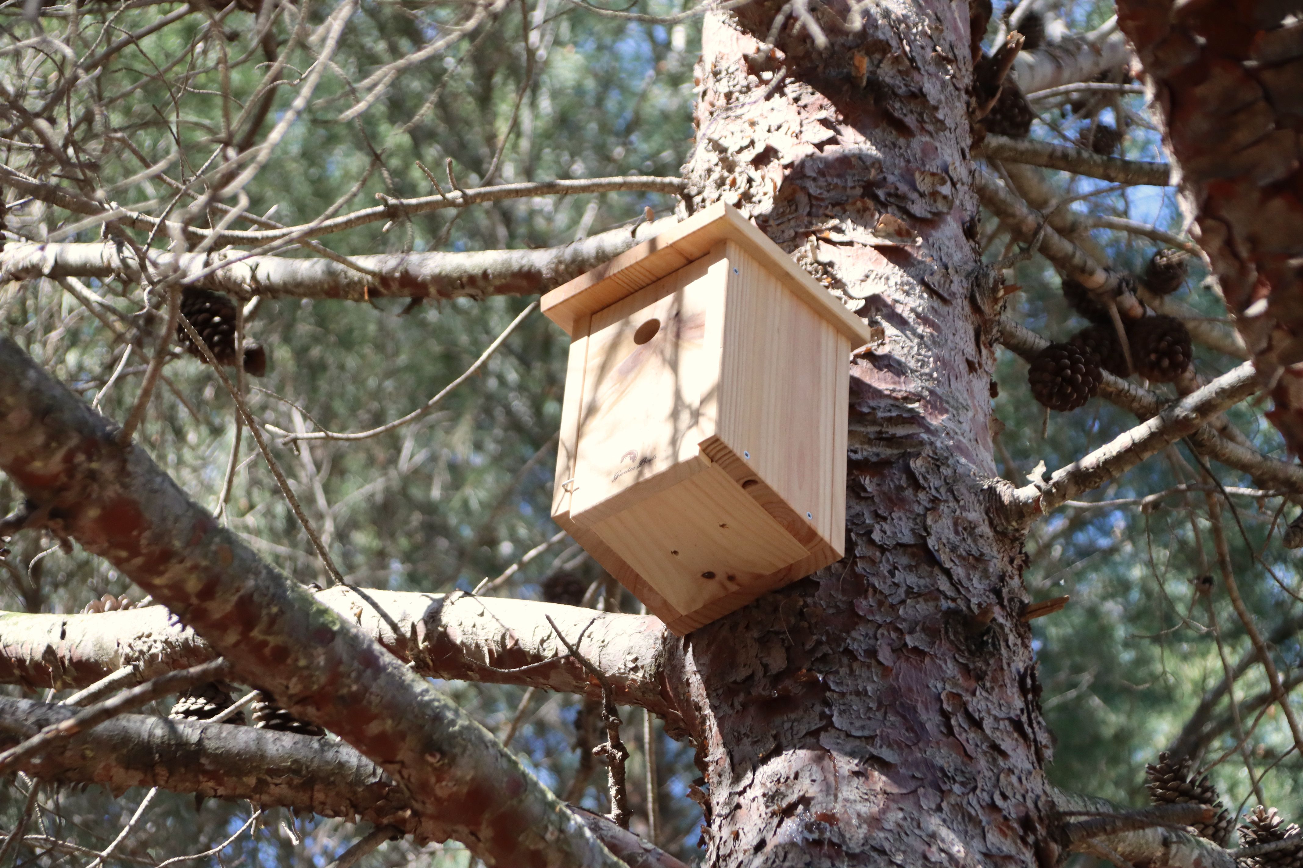 Tarragona-GreenBelt'26 - Eloi Tost