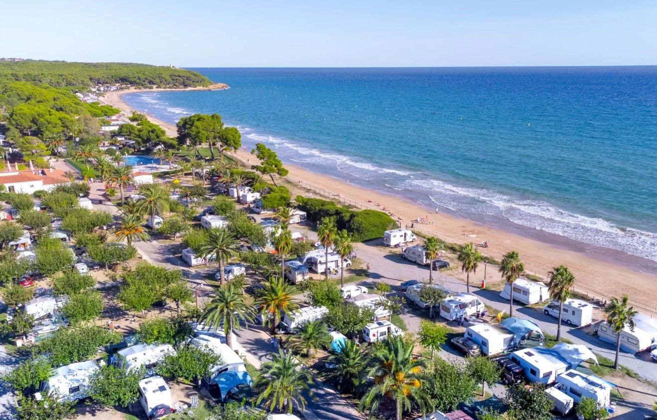 Foto de Càmping Les Palmeres