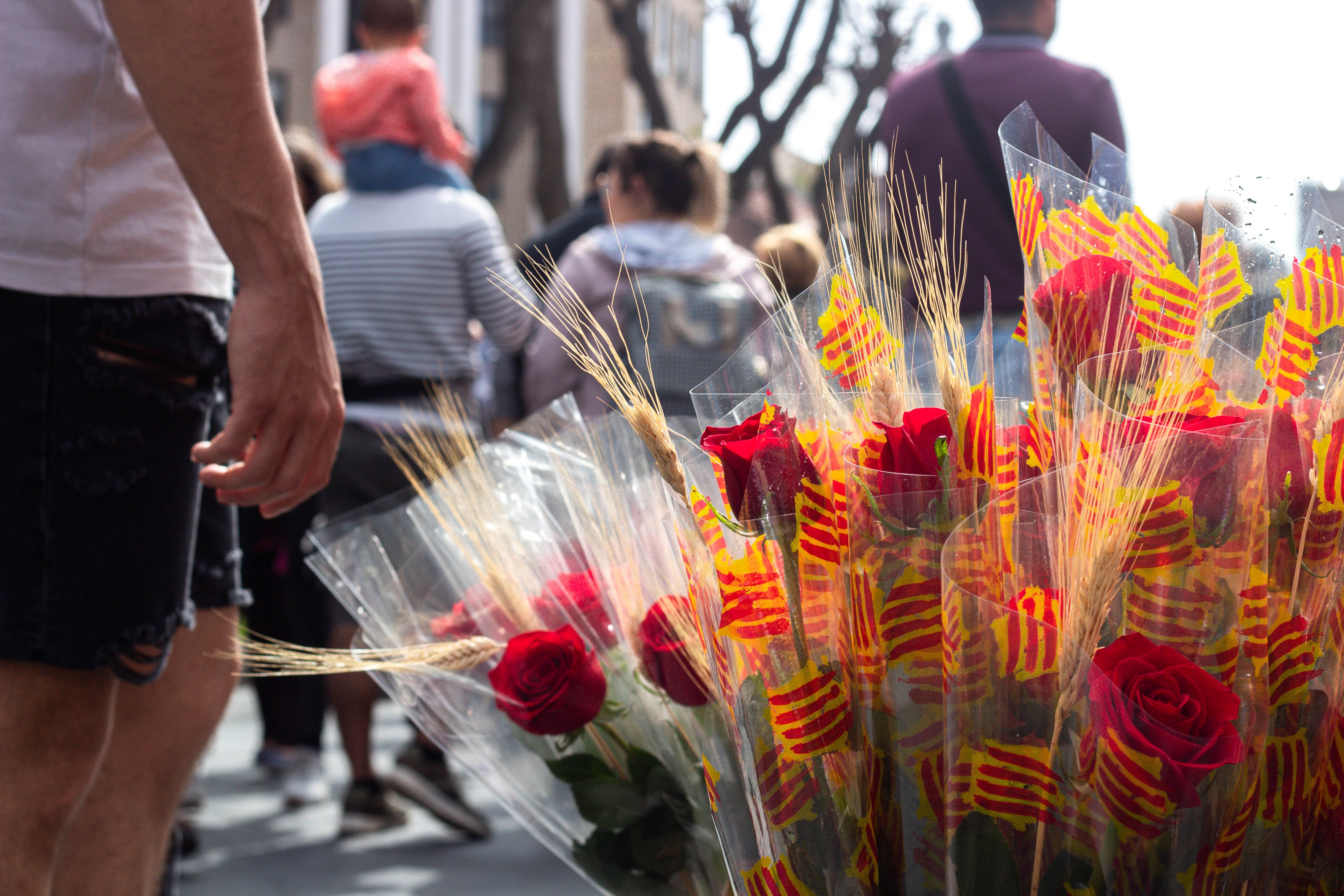 La Rambla Nova de Tarragona tornarà a omplir se de parades de llibres i roses | FOTO: Alejandro Navarro (2023)