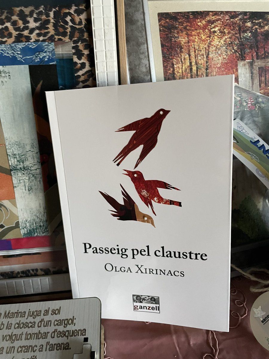 passeig pel claustre