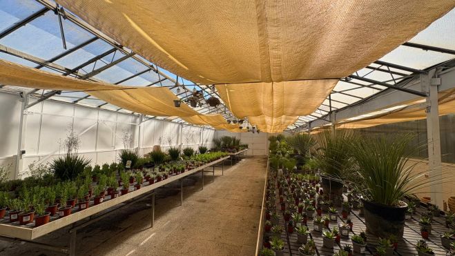 WhatsApp Image 2026 04 21 at 10.11.37